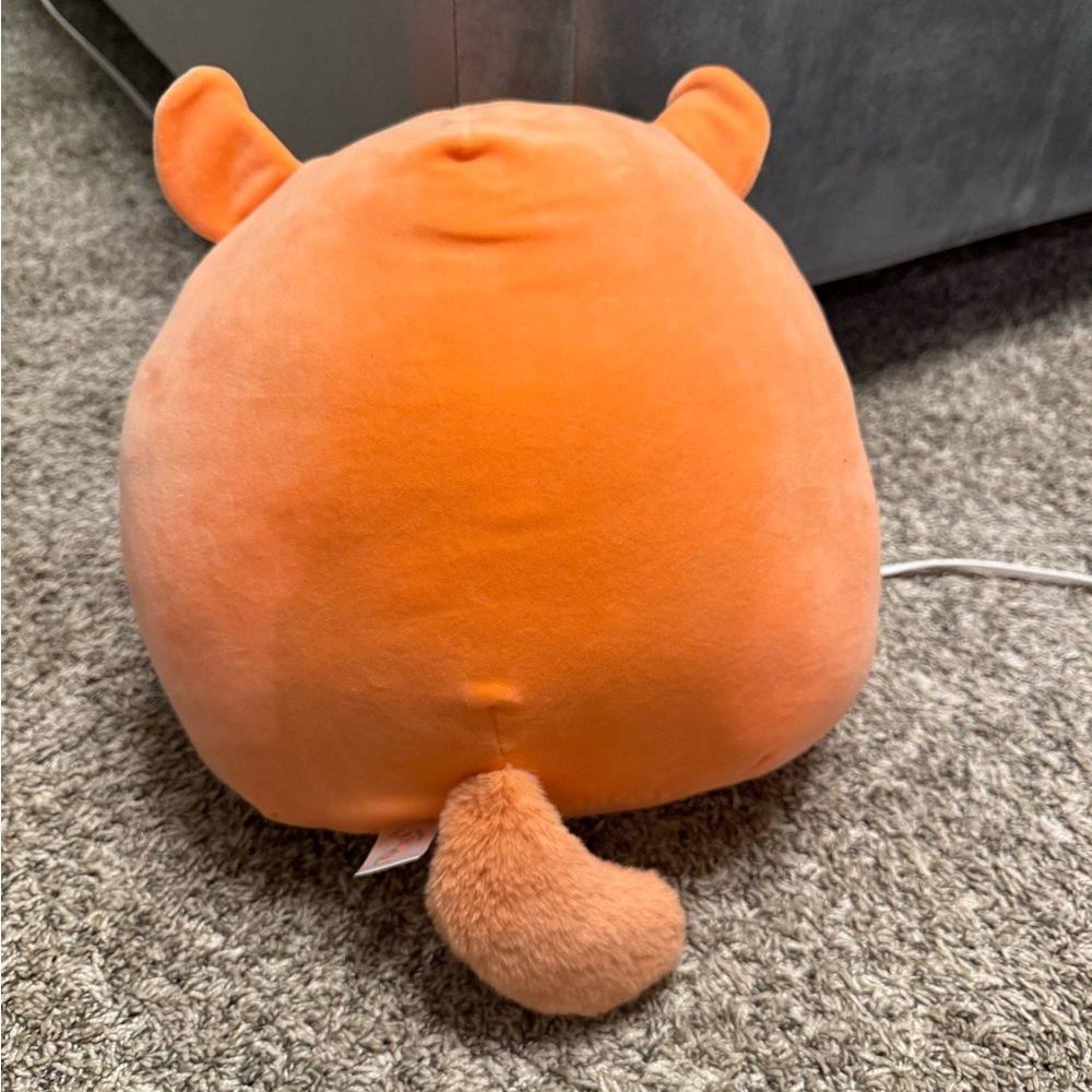 Erica squishmallow - Picture 2 of 2